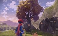 Apricot trees are scatteret throughout Obsidian Fieldlands (Image via Game Freak)